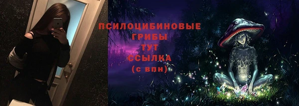 mdpv Козельск
