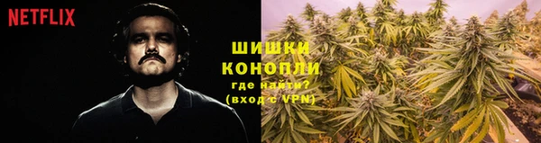 дживик Корсаков