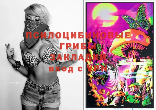 дживик Кодинск