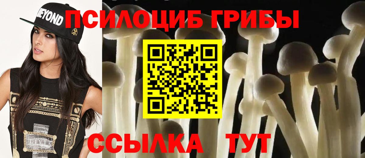 Псилоцибиновые грибы Psilocybe  Вход с VPN  Пыть-Ях 